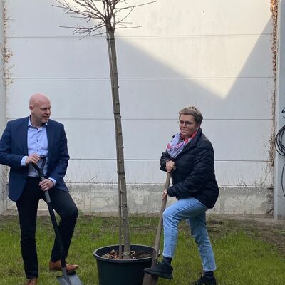 Bild vergr&ouml;&szlig;ern: �bergabe des Baumes an die Kita Zwergenbutze an die Leiterin Frau Wilkens