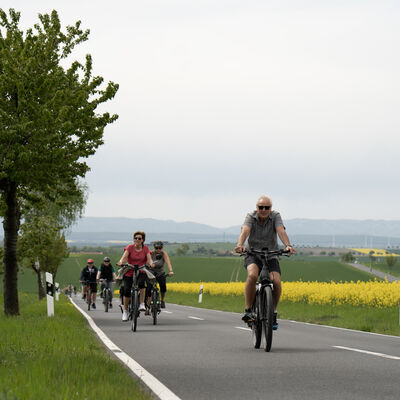 Radtour: Bei den sch&ouml;n gelb bl&uuml;henden Rapsfeldern ist das Radfahren eine reine Augenweide. Jeder Kilometer zahlt: F&uuml;r die Entspannung, f&uuml;r die Fitness und f&uuml;r das Klima.