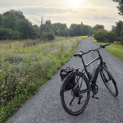 Bild vergr&ouml;&szlig;ern: Radweg am alten Bahndamm in B�r�um in Richtung Achim