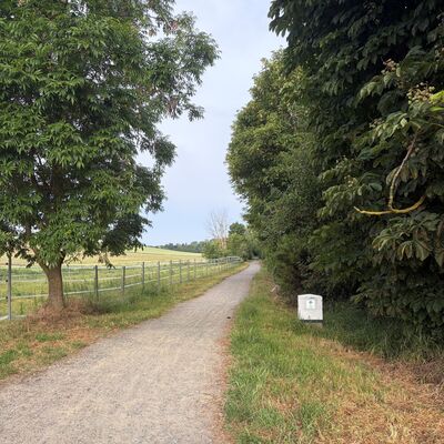 Bild vergr&ouml;&szlig;ern: Radweg am alten Bahndamm in B�r�um in Richtung Bahnhof