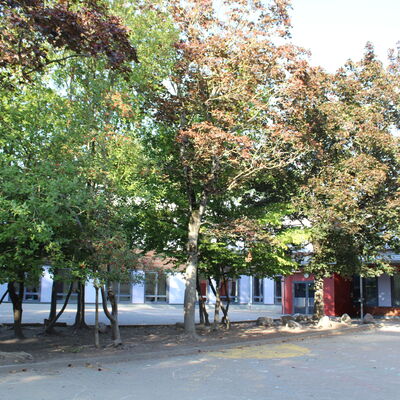 Bild vergrößern: Grundschule Börßum, Pausenhof